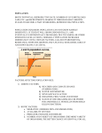 POPULATION BIOTIC POTENTIAL: REPRODUCTIVE RATE