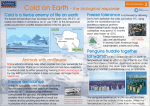 Cold on Earth - Royal Holloway