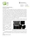 Bacterial DNA Fingerprint Detection