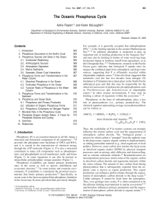 The Oceanic Phosphorus Cycle - Center for Microbial Oceanography