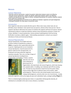 Meiosis