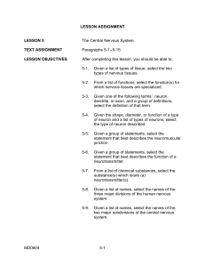 LESSON ASSIGNMENT LESSON 5 The Central Nervous