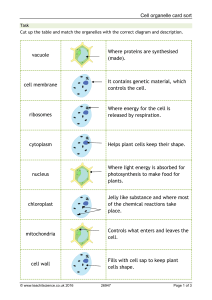 Cell organelle card sort vacuole Where proteins are synthesised