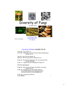 Diversity of Fungi