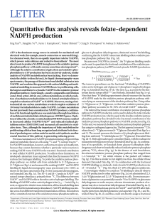 Quantitative flux analysis reveals folate