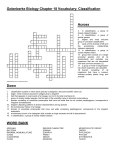 Golenberke Biology Chapter 18 Vocabulary: Classification Across