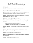 Cell Unit Vocabulary