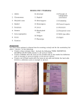 Genetics Unit 1 Vocabulary 1. Alleles 2. Chromosome 3. Dihybrid