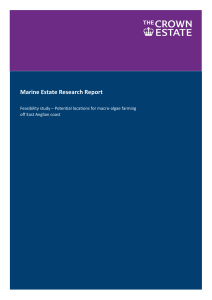 Potential locations for macro-algae farming off