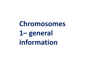 Chromosomes