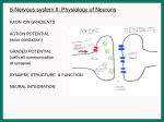 5-Nervous system II: Physiology of Neurons