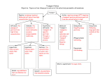 Transport Notes