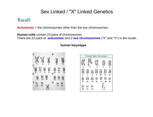 Sex Linked / "X" Linked Genetics Recall