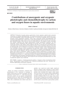 Contributions of anoxygenic and oxygenic phototrophy and