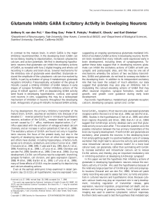 Glutamate Inhibits GABA Excitatory Activity in