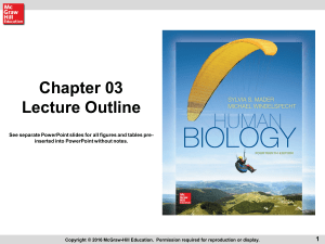 chapt03_HumanBiology14e_lecture