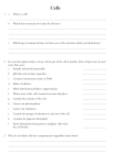 Worksheet Qs for revision File