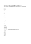 Nouns with identical singular and plural - e