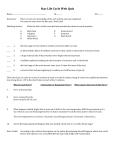 Star Life Cycle Web Quiz