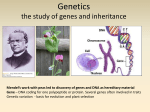 Genetics - David Bogler Home