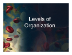 Levels of Organization