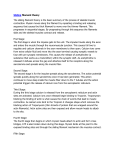 Sliding filament theory The sliding filament theory is the basic