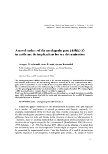 A novel variant of the amelogenin gene (AMEL-X) in cattle