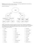 “Protein Synthesis Concept Map” Directions: Use the terms below to