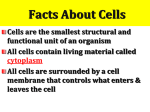 Facts About Cells