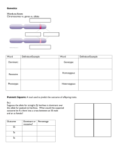 Chromosomes vs. genes vs. alleles Word Definition/Example Word