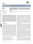 Acetate ligands determine the crystal structure of CdSe