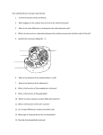 Cells and Membrane Transport Quiz Review 1. List the three parts of