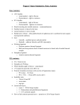 Peggers` Super Summaries: Knee Anatomy