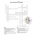 Cell components and function