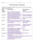 Body Systems study guide answers - 2014-2015