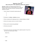 Respiration Virtual Lab How do the parts of the respiratory system