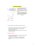 The Photoelectric Effect