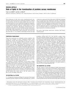 Role of lipids in the translocation of proteins across membranes