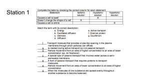 Semester 1 Stations Review KEY