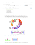 Module 17 / Microscopic Level—The Sarcomere