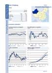 Xinjiang - DB Research