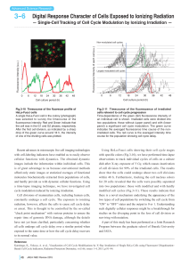 Digital Response Character of Cells Exposed to Ionizing Radiation