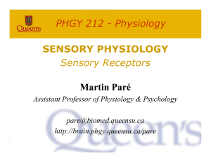 Physiology SENSORY PHYSIOLOGY Sensory Receptors Martin Paré