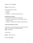 Chapter 12 The Invertibrates