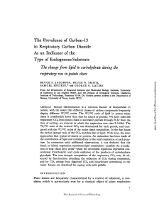 The change from lipid to carbohydrate during the respiratory rise in