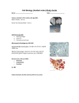 CELL BIOLOGY (guided/notes)