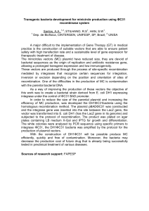 Transgenic bacteria development for minicircle production using