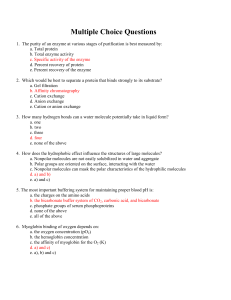 Multiple Choice Questions