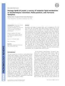 Storage lipids of yeasts: a survey of nonpolar lipid metabolism in