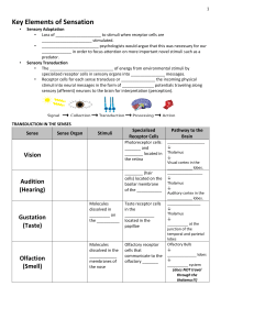 Key Elements of Sensation